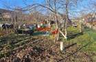 Oportunitate de Investiție: Teren Intravilan în Paclisa, Alba Iulia - 5