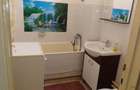 De inchiriat apartament cu 2 camere Podgoria - 12