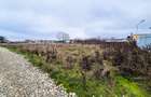Teren intravilan Smeura Arges - 2