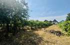 Proprietate cu gospodărie completă - teren 4300 mp – loc. Seica Mare - 6