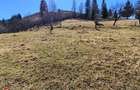 Teren la munte în Bucovina - 2