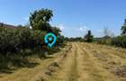 Teren intravilan 4.000 mp Comana (Budeni) | 10 €/mp negociabil | Comis