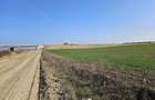 Teren intravilan 5000 mp de vânzare   Cheiul Dâmboviței apropiere A2 - 1