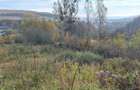 Teren autorizat ,Duplex ,zona Feleacu - 8
