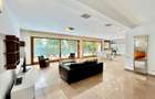 PET FRIENDLY/IANCU NICOLAE/ PISCINA/ GARAJ/ BRITISH SCHOOL - 8