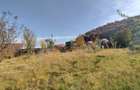 Teren Intravilan Bunloc - 11