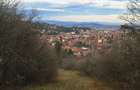 Investitie pe termen lung 1577 mp Schei, intravilan - 5