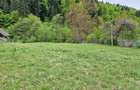 Teren intravilan 2936 mp. Bistrița jud Neamt - 3