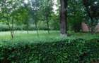 Apartament 2 camere, cart Grigorescu - 9