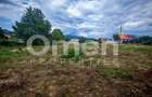 Teren intravilan 25 ari, parcelabil – Baia Sprie, zonă frumoasă și liniștită - 4
