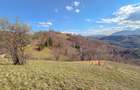 Refugiu de poveste în inima naturii | 12.000 mp în Holbav | Proiect început - 10