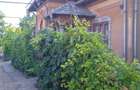 Casa comuna Giubega 45km craiova - 6