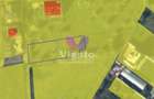 Teren intravilat| Zona rezidentila 1156 mp-TURNISOR - 1