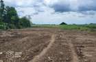 Teren intravilan curti constructii, Sacalaz, Timis - 1