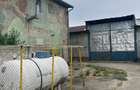 Complex industrial/Ferma de vânzare | Orțișoara, jud. Timiș - 36