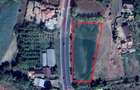 Teren intravilan 3500mp Bizighesti - 2