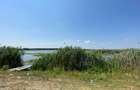 Teren Intravilan 17 m deschidere lac Silistea Snagovului - 3