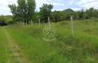 Teren 1000mp+cota drum-ideal cabana/investitie-panorama-Valea Rusului - 3
