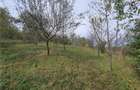 Casă Tradițională Săsească ?n loc.Aciliu cu 2974mp tere - 26
