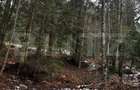 Teren unic, exclusivist  4000 mp, in inima muntilor, Sinaia - 7