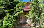 Casa Vermont, cu Padure Privata, Paradisul Verde, teren 1800mp, gradina matura - 3