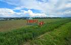 Teren intravilan industrial cu PUZ aprobat - 2