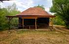 Poiană privată, pădure și cabană | Proprietate cu potențial turistic - 7