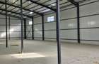 Hale noi 2026 AFUMATI ( Moara Domneasca ) 2300 Euro - 4