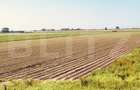Teren arabil de vanzare, 30.000 mp - Bethausen - 1