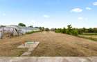 Casa individuala | P+M | Teren 1446 MP | Sup Ut 242 MP | COMISION 0% - 25