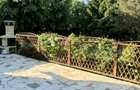 Zona Ghencea Sos Alexandriei Domeniu privat 2090mp cu piscina - 1