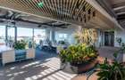 Birouri premium in Sibiu–Spatii flexibile moderne pentru companii - 1