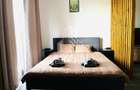 Apartament cu 1 camera de vanzare, bloc 2024, zona Sagului, Timisoara - 9