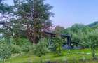 Cabane A frame + Teren 6000 mp |  Proprietate deosebita, NOU - 40