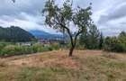 Teren intravilan cu vedere panoramica Sacele, Brasov - 11