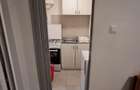 Garsoniera , 22 mp, renovata, mobilata si utilata - Calea Buziasului - 5