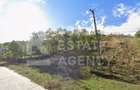 Teren intravilan 3.247 mp, oportunitate afacere, Slănic, Prahova - 4