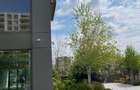 Apartament lux 2 camere//mobilat complet Rovere//Aviatiei Park - 16