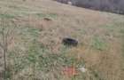 TEREN INTRAVILAN 306 mp – Palazu Mare, Constanta - Ocazie Unica - 5