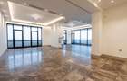 Floreasca Ultra-Lux — Penthouse 345 mp - 4