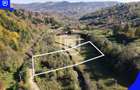 Teren situat in Vama  | BUCOVINA | 6€ mp - 6