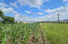 Casă / Vilă, teren 1700mp,  în Lisaura-Ipotești, Suceava - 38