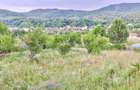 Teren constructii intravilan 3600mp Morilor - 1