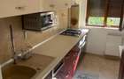 Inchiriere apartament 2 camere zona Doamna Ghica - 3