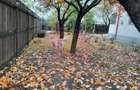 ILFOV - SE VINDE CASA IN ISLAZ / COM. BRANESTI - 51