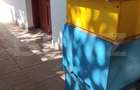 Casă renovată cu farmec istoric, livadă și 3.600 mp de teren | Teiș - 13