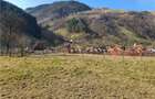 Vindem urgent 1035mp teren intravilan in Rau Sadului ,  SIBIU - 21