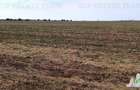 Oferim spre vanzare 6 loturi de teren extravilan (agricol) in Petrachioaia ILFOV - 13