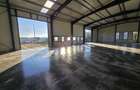 Spatiu Industrial - Gilau - Constructie Noua - 7