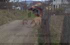 Teren intravilan de vânzare 650 mp Curtea de Argeș Central - 5